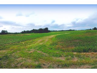 Property photo 10 - LAND AUCTION - 308+/- ACRES IN 7 TRACTS IN CARROLL & WHITE COUNTY, INDIANA